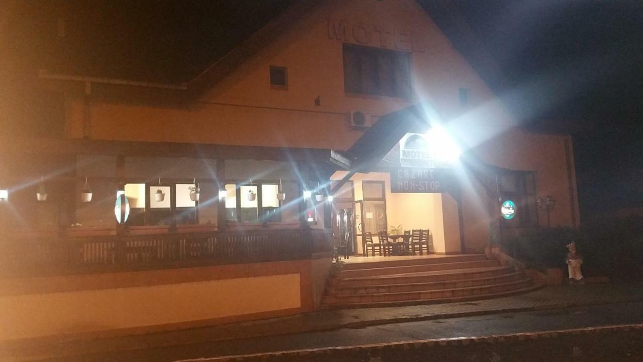 Motel Restaurant Lowe Deva Dış mekan fotoğraf